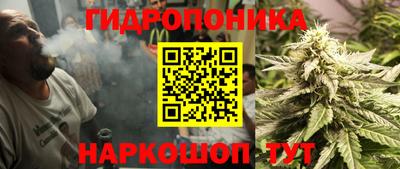 дмт Нальчик