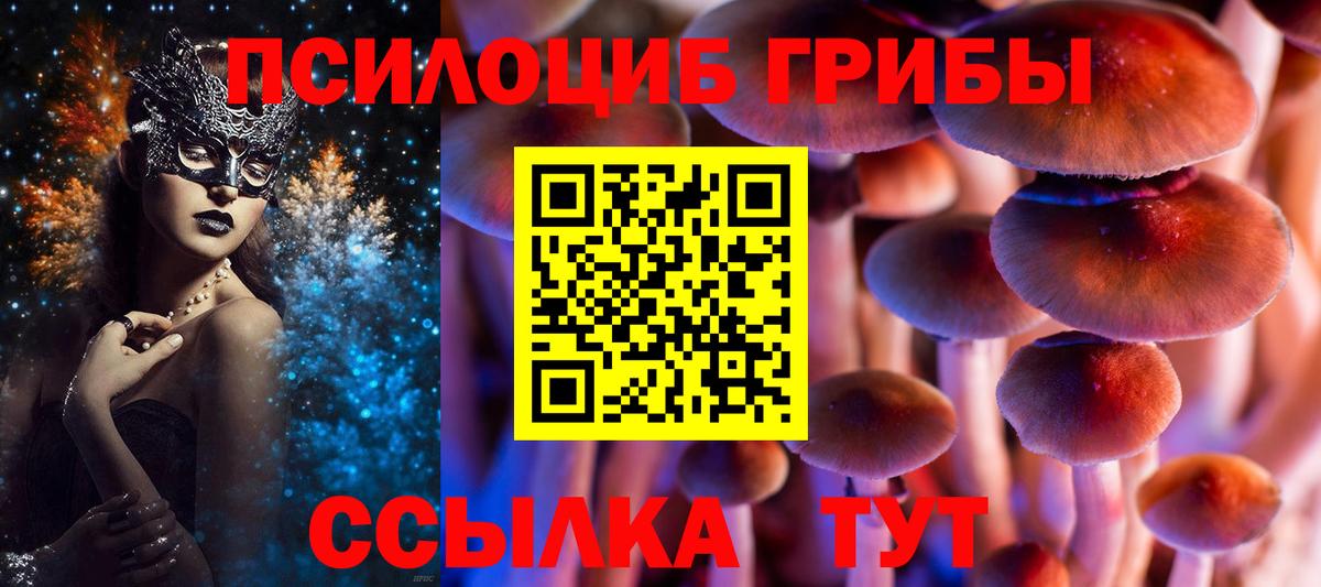 где найти   Галлюциногенные грибы прущие грибы  Вход с VPN  Феодосия 